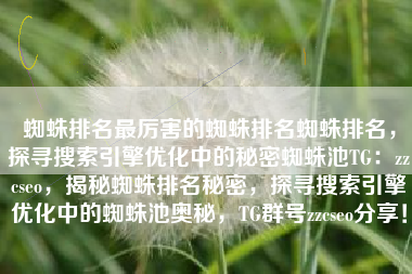 蜘蛛排名最厉害的蜘蛛排名蜘蛛排名，探寻搜索引擎优化中的秘密蜘蛛池TG：zzcseo，揭秘蜘蛛排名秘密，探寻搜索引擎优化中的蜘蛛池奥秘，TG群号zzcseo分享！