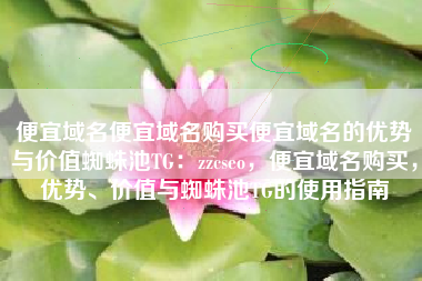 便宜域名便宜域名购买便宜域名的优势与价值蜘蛛池TG：zzcseo，便宜域名购买，优势、价值与蜘蛛池TG的使用指南