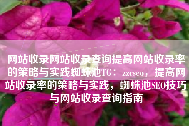 网站收录网站收录查询提高网站收录率的策略与实践蜘蛛池TG：zzcseo，提高网站收录率的策略与实践，蜘蛛池SEO技巧与网站收录查询指南