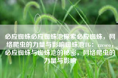 必应蜘蛛必应蜘蛛池探索必应蜘蛛，网络爬虫的力量与影响蜘蛛池TG：zzcseo，必应蜘蛛与蜘蛛池的秘密，网络爬虫的力量与影响