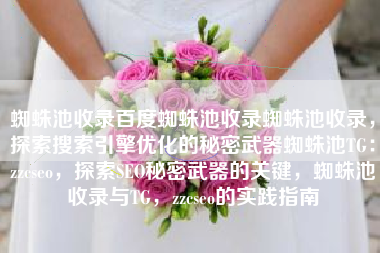 蜘蛛池收录百度蜘蛛池收录蜘蛛池收录，探索搜索引擎优化的秘密武器蜘蛛池TG：zzcseo，探索SEO秘密武器的关键，蜘蛛池收录与TG，zzcseo的实践指南