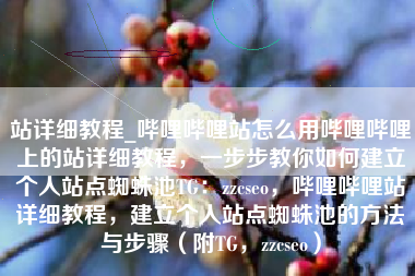 站详细教程_哔哩哔哩站怎么用哔哩哔哩上的站详细教程，一步步教你如何建立个人站点蜘蛛池TG：zzcseo，哔哩哔哩站详细教程，建立个人站点蜘蛛池的方法与步骤（附TG，zzcseo）