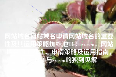 网站域名网站域名申请网站域名的重要性及其运用策略蜘蛛池TG：zzcseo，网站域名的重要性、申请策略及运用指南，蜘蛛池TG与zzcseo的独到见解