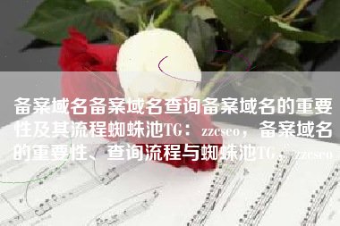 备案域名备案域名查询备案域名的重要性及其流程蜘蛛池TG：zzcseo，备案域名的重要性、查询流程与蜘蛛池TG，zzcseo