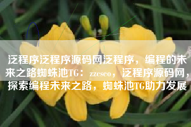 泛程序泛程序源码网泛程序，编程的未来之路蜘蛛池TG：zzcseo，泛程序源码网，探索编程未来之路，蜘蛛池TG助力发展