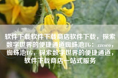 软件下载软件下载商店软件下载，探索数字世界的便捷通道蜘蛛池TG：zzcseo，蜘蛛池TG，探索数字世界的便捷通道，软件下载商店一站式服务