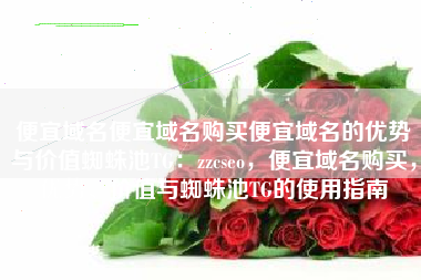 便宜域名便宜域名购买便宜域名的优势与价值蜘蛛池TG：zzcseo，便宜域名购买，优势、价值与蜘蛛池TG的使用指南