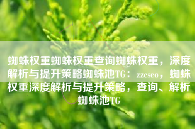 蜘蛛权重蜘蛛权重查询蜘蛛权重，深度解析与提升策略蜘蛛池TG：zzcseo，蜘蛛权重深度解析与提升策略，查询、解析蜘蛛池TG