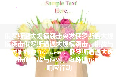 俄罗斯遭大规模袭击突发俄罗斯遭大规模袭击俄罗斯遭遇大规模袭击，挑战与应对蜘蛛池TG：zzcseo，俄罗斯遭遇大规模袭击的挑战与应对，蜘蛛池TG的紧急响应行动