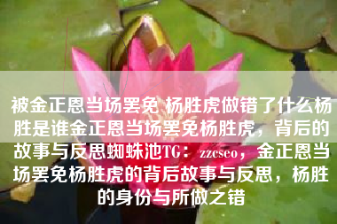 被金正恩当场罢免 杨胜虎做错了什么杨胜是谁金正恩当场罢免杨胜虎，背后的故事与反思蜘蛛池TG：zzcseo，金正恩当场罢免杨胜虎的背后故事与反思，杨胜的身份与所做之错