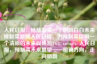 人民日报：给预制菜一个明明白白未来预制菜新闻人民日报，为预制菜指明一个清晰的未来蜘蛛池TG：zzcseo，人民日报，预制菜未来展望——明确方向，走向明朗