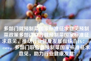 多部门就预制菜国家标准征求意见预制菜政策多部门联合就预制菜国家标准征求意见，推动行业健康发展蜘蛛池TG：zzcseo，多部门联合就预制菜国家标准征求意见，助力行业健康发展