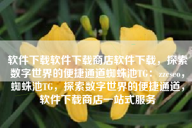 软件下载软件下载商店软件下载，探索数字世界的便捷通道蜘蛛池TG：zzcseo，蜘蛛池TG，探索数字世界的便捷通道，软件下载商店一站式服务