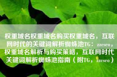 权重域名权重域名购买权重域名，互联网时代的关键词解析蜘蛛池TG：zzcseo，权重域名解析与购买策略，互联网时代关键词解析蜘蛛池指南（附TG，zzcseo）