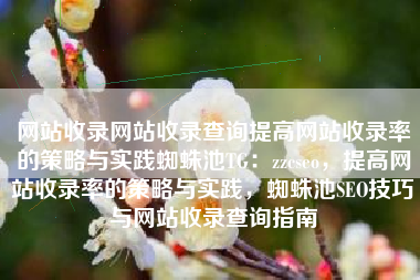 网站收录网站收录查询提高网站收录率的策略与实践蜘蛛池TG：zzcseo，提高网站收录率的策略与实践，蜘蛛池SEO技巧与网站收录查询指南
