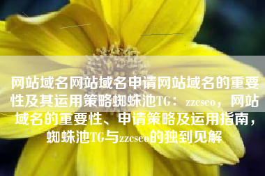 网站域名网站域名申请网站域名的重要性及其运用策略蜘蛛池TG：zzcseo，网站域名的重要性、申请策略及运用指南，蜘蛛池TG与zzcseo的独到见解