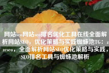 网站seo网站seo排名优化工具在线全面解析网站SEO，优化策略与实践蜘蛛池TG：zzcseo，全面解析网站SEO优化策略与实践，SEO排名工具与蜘蛛池解析