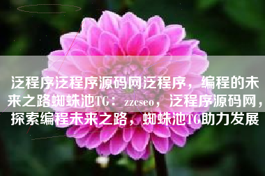 泛程序泛程序源码网泛程序，编程的未来之路蜘蛛池TG：zzcseo，泛程序源码网，探索编程未来之路，蜘蛛池TG助力发展