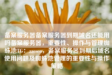 备案服务器备案服务器到期域名还能用吗备案服务器，重要性、操作与管理蜘蛛池TG：zzcseo，备案服务器到期后域名使用问题及蜘蛛池管理的重要性与操作策略