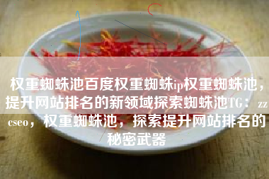 权重蜘蛛池百度权重蜘蛛ip权重蜘蛛池，提升网站排名的新领域探索蜘蛛池TG：zzcseo，权重蜘蛛池，探索提升网站排名的秘密武器