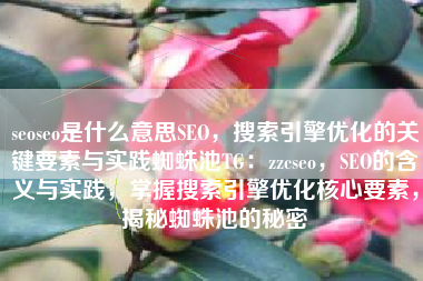seoseo是什么意思SEO，搜索引擎优化的关键要素与实践蜘蛛池TG：zzcseo，SEO的含义与实践，掌握搜索引擎优化核心要素，揭秘蜘蛛池的秘密