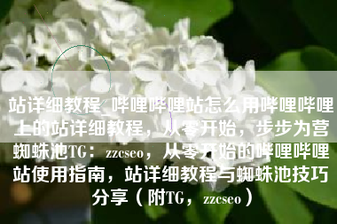 站详细教程_哔哩哔哩站怎么用哔哩哔哩上的站详细教程，从零开始，步步为营蜘蛛池TG：zzcseo，从零开始的哔哩哔哩站使用指南，站详细教程与蜘蛛池技巧分享（附TG，zzcseo）