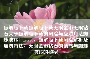 破解版下载破解版下载无限金币无限钻石关于破解版下载的风险与应对方法蜘蛛池TG：zzcseo，破解版下载风险解析及应对方法，无限金币钻石的诱惑与蜘蛛池TG的秘密