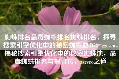 蜘蛛排名最毒蜘蛛排名蜘蛛排名，探寻搜索引擎优化中的秘密蜘蛛池TG：zzcseo，揭秘搜索引擎优化中的秘密蜘蛛池，最毒蜘蛛排名与探寻TG，zzcseo之道