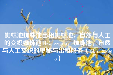 蜘蛛池蜘蛛池出租蜘蛛池，自然与人工的交织蜘蛛池TG：zzcseo，蜘蛛池，自然与人工交织的奥秘与出租服务（TG，zzcseo）