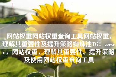 网站权重网站权重查询工具网站权重，理解其重要性及提升策略蜘蛛池TG：zzcseo，网站权重，理解其重要性、提升策略及使用网站权重查询工具