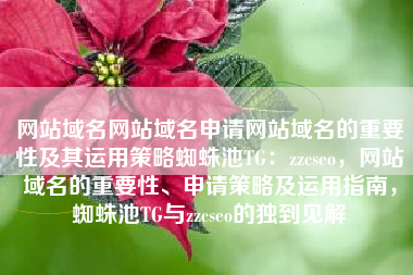 网站域名网站域名申请网站域名的重要性及其运用策略蜘蛛池TG：zzcseo，网站域名的重要性、申请策略及运用指南，蜘蛛池TG与zzcseo的独到见解