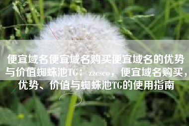 便宜域名便宜域名购买便宜域名的优势与价值蜘蛛池TG：zzcseo，便宜域名购买，优势、价值与蜘蛛池TG的使用指南