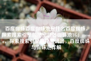 百度蜘蛛百度蜘蛛池是什么百度蜘蛛，探索搜索引擎的秘密武器蜘蛛池TG：zzcseo，探索搜索引擎的秘密武器，百度蜘蛛与蜘蛛池详解