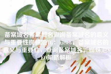 备案域名备案域名查询备案域名的意义与重要性蜘蛛池TG：zzcseo，备案域名的意义与重要性，查询备案域名，蜘蛛池SEO策略解析