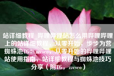 站详细教程_哔哩哔哩站怎么用哔哩哔哩上的站详细教程，从零开始，步步为营蜘蛛池TG：zzcseo，从零开始的哔哩哔哩站使用指南，站详细教程与蜘蛛池技巧分享（附TG，zzcseo）