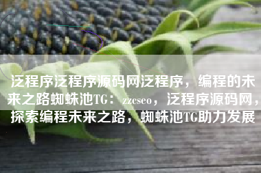 泛程序泛程序源码网泛程序，编程的未来之路蜘蛛池TG：zzcseo，泛程序源码网，探索编程未来之路，蜘蛛池TG助力发展