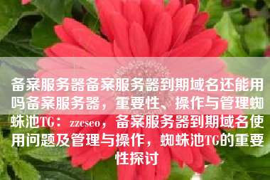 备案服务器备案服务器到期域名还能用吗备案服务器，重要性、操作与管理蜘蛛池TG：zzcseo，备案服务器到期域名使用问题及管理与操作，蜘蛛池TG的重要性探讨