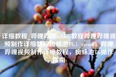 详细教程_哔哩哔哩bilibili教程哔哩哔哩视频制作详细教程蜘蛛池TG：zzcseo，哔哩哔哩视频制作详细教程，蜘蛛池TG操作指南
