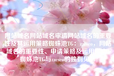 网站域名网站域名申请网站域名的重要性及其运用策略蜘蛛池TG：zzcseo，网站域名的重要性、申请策略及运用指南，蜘蛛池TG与zzcseo的独到见解