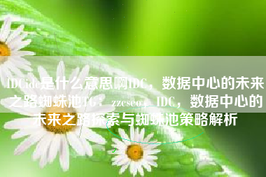 IDCidc是什么意思啊IDC，数据中心的未来之路蜘蛛池TG：zzcseo，IDC，数据中心的未来之路探索与蜘蛛池策略解析