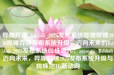 哔哩哔哩_bilibili_2025发布系统哔哩哔哩2050哔哩哔哩发布系统升级，迈向未来的Bilibili 2025发布系统蜘蛛池TG：zzcseo，Bilibili迈向未来，哔哩哔哩2025发布系统升级与蜘蛛池TG新动向