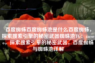 百度蜘蛛百度蜘蛛池是什么百度蜘蛛，探索搜索引擎的秘密武器蜘蛛池TG：zzcseo，探索搜索引擎的秘密武器，百度蜘蛛与蜘蛛池详解