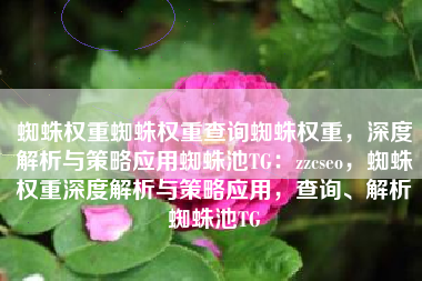 蜘蛛权重蜘蛛权重查询蜘蛛权重，深度解析与策略应用蜘蛛池TG：zzcseo，蜘蛛权重深度解析与策略应用，查询、解析蜘蛛池TG
