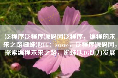 泛程序泛程序源码网泛程序，编程的未来之路蜘蛛池TG：zzcseo，泛程序源码网，探索编程未来之路，蜘蛛池TG助力发展