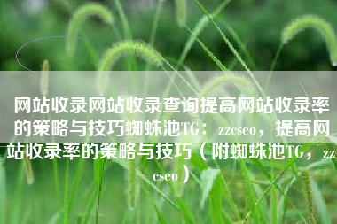 网站收录网站收录查询提高网站收录率的策略与技巧蜘蛛池TG：zzcseo，提高网站收录率的策略与技巧（附蜘蛛池TG，zzcseo）