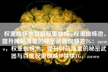权重蜘蛛池百度权重蜘蛛ip权重蜘蛛池，提升网站流量的秘密武器蜘蛛池TG：zzcseo，权重蜘蛛池，提升网站流量的秘密武器与百度权重蜘蛛IP共享TG，zzcseo