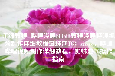 详细教程_哔哩哔哩bilibili教程哔哩哔哩视频制作详细教程蜘蛛池TG：zzcseo，哔哩哔哩视频制作详细教程，蜘蛛池TG操作指南