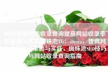 网站收录网站收录查询提高网站收录率的策略与实践蜘蛛池TG：zzcseo，提高网站收录率的策略与实践，蜘蛛池SEO技巧与网站收录查询指南