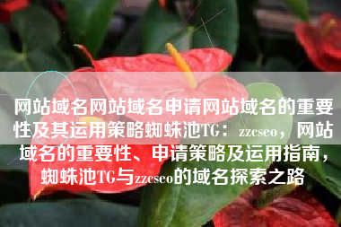 网站域名网站域名申请网站域名的重要性及其运用策略蜘蛛池TG：zzcseo，网站域名的重要性、申请策略及运用指南，蜘蛛池TG与zzcseo的域名探索之路