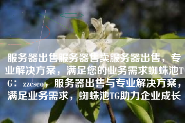 服务器出售服务器售卖服务器出售，专业解决方案，满足您的业务需求蜘蛛池TG：zzcseo，服务器出售与专业解决方案，满足业务需求，蜘蛛池TG助力企业成长